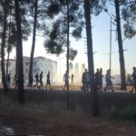 ξυλο λαρισα