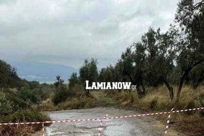 https://lamianow.gr/wp-content/uploads/2024/03/Iamia-Now-01-1-2-1-scaled.jpg