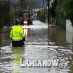 ροδιτσα λαμ