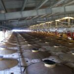 ΣΤΥΛΙΔΑ iphone 1573 696x520 1