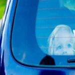 μικρουλα ιχ