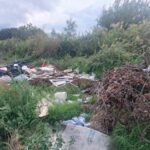 ξερα ανθηλη