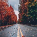 φθνιπ καιρος