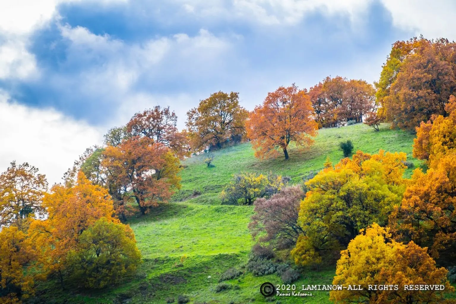 βροχη lamianow