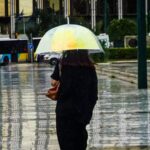 λαγουβάρδος