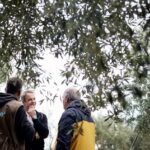 μιτσοτακης