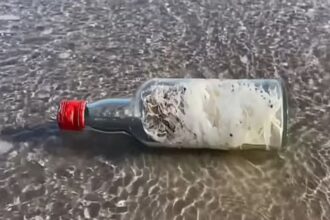 μπουκαλιαμαγισσων