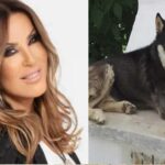 γερμανου ολιβερ