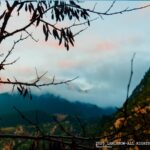 καπνοχωρι ναου