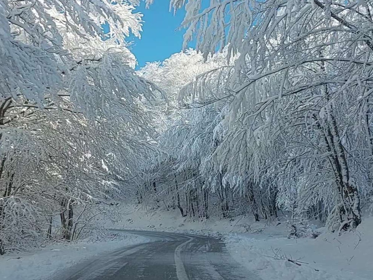 οξυαααα