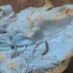 σκουλικιιιααα