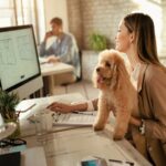 σκυλοι ντανταδες