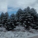 χιονιιιι ντινα