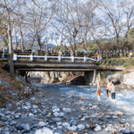 αγιασμος των υδατων γοργοποταμος