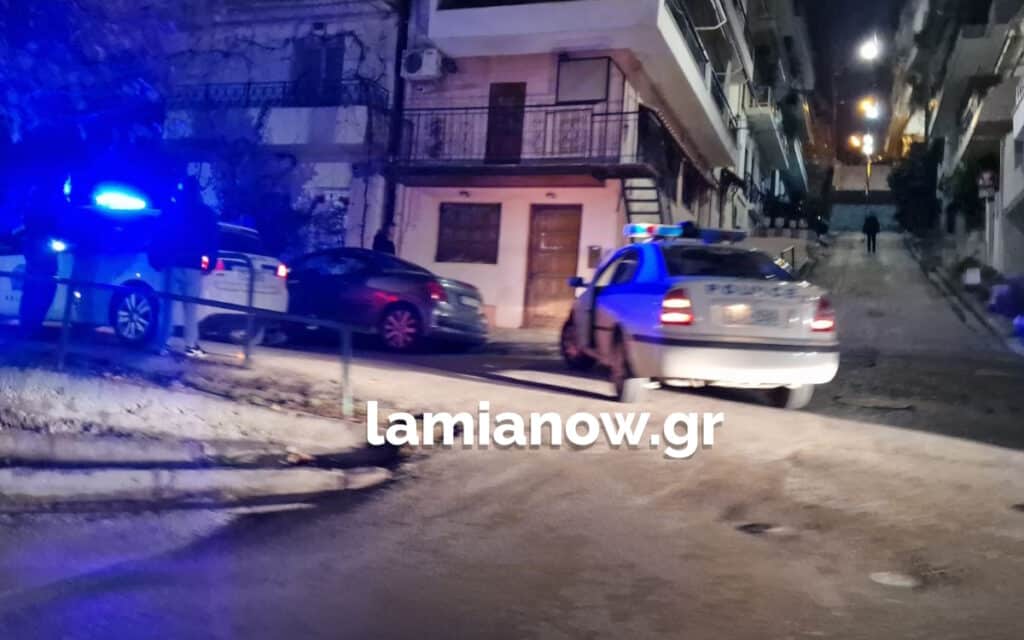 αστυνομια 2