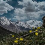 ηηαηαηαηηηδηδηδ