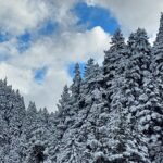 οξυα πλατνος