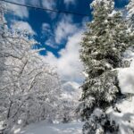 πουγκακια χιονι