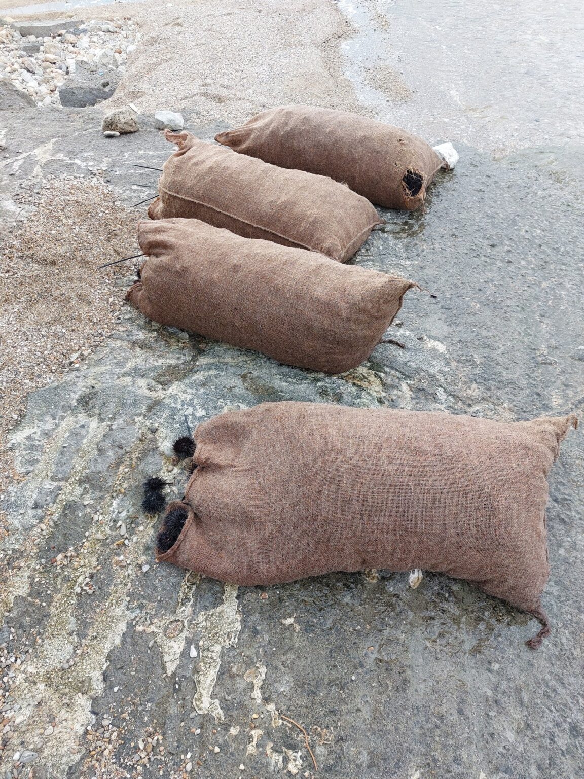 23 29 56 I I§I I I I 10 02 24.width 1600