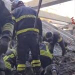 florentia katarreusi