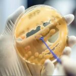 μμμιιικρροοοββιιιοοο