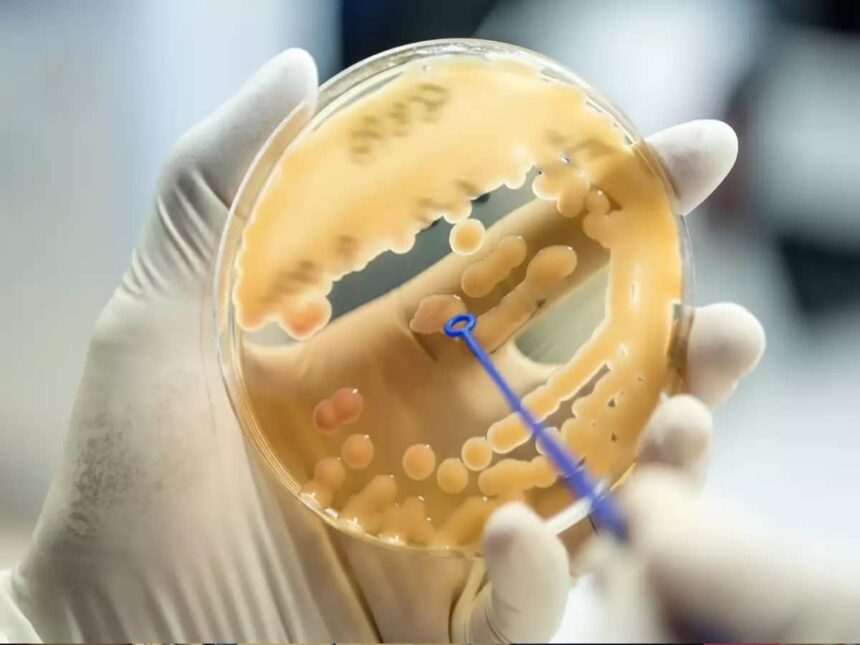 μμμιιικρροοοββιιιοοο