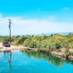 ψωρονερια δημος λαμιεων 12 1