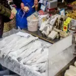 mpakaliarosss