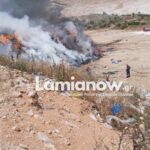 IMG 1ff8f21cb41bc44bc6e24e4a1e6bd3ed V