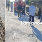 InCollage 20240527 092527630