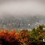 dilofo sperxeiadas 2