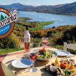 drosostalia