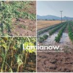 InCollage 20240724 101223288