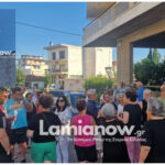 InShot 20240729 203615575 scaled