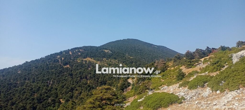 https://lamianow.gr/wp-content/uploads/2024/03/Iamia-Now-01-1-2-1-scaled.jpg