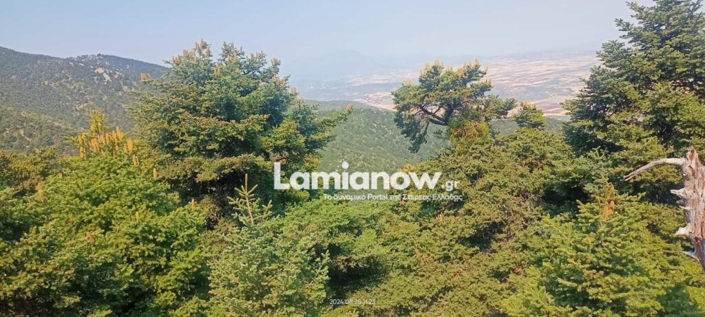 https://lamianow.gr/wp-content/uploads/2024/03/Iamia-Now-01-1-2-1-scaled.jpg