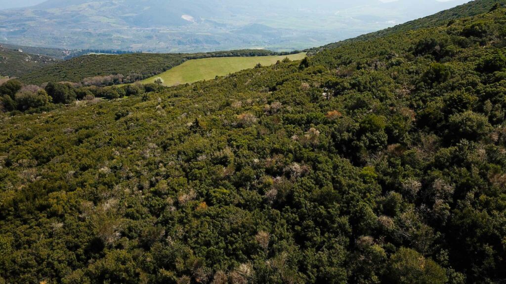 Άγναντη 3