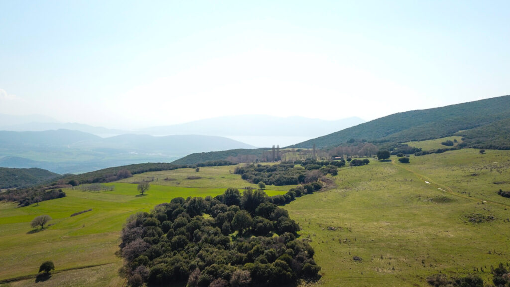 Άγναντη από Ανατολικά
