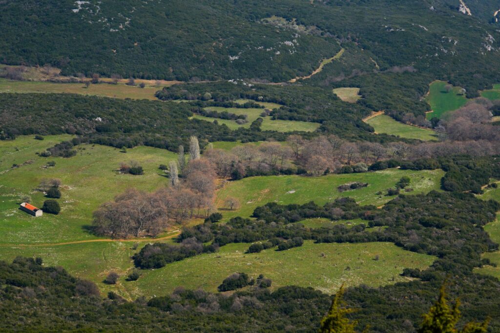 Αγναντη