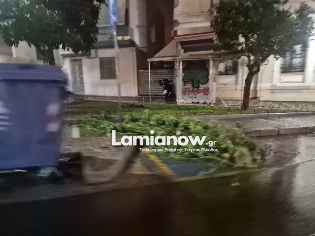 https://lamianow.gr/wp-content/uploads/2024/03/Iamia-Now-01-1-2-1-scaled.jpg