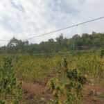 202409220719458044 1200x900 1