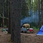 IMG 20240906 160341 Small