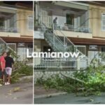 InCollage 20240903 213445569