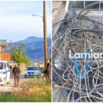 InCollage 20240924 101325035