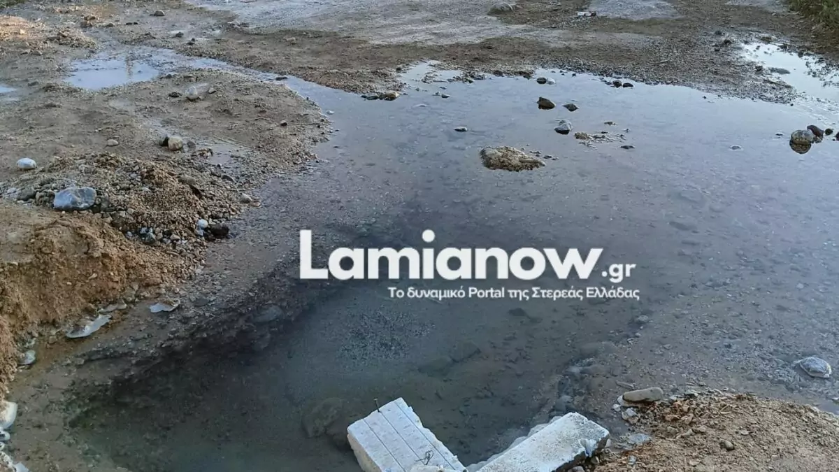 https://lamianow.gr/wp-content/uploads/2024/03/Iamia-Now-01-1-2-1-scaled.jpg