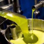 17295093846524427158602018043723 1