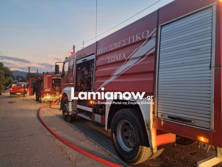 20241016 190713 scaled