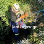 IMG 11527c84c5e5e18610267e837ef9f0f4 V 663x1024 1