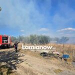 IMG b4dc3a9751c89f32e60e15427ce4163d V