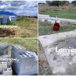 InCollage 20241006 151138238